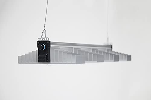SANlight EVO 4-80