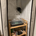 Grow Setup 80 x 80