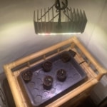 Chili Jungpflänzchen 40cm unter Kunstlicht