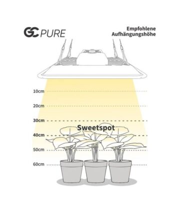 Greenception GC Pure Abstand