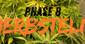 Phase 7: Herbsteln
