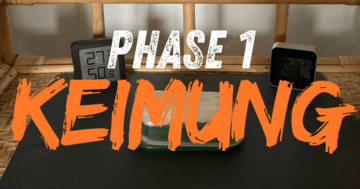 Phase 1: Keimung