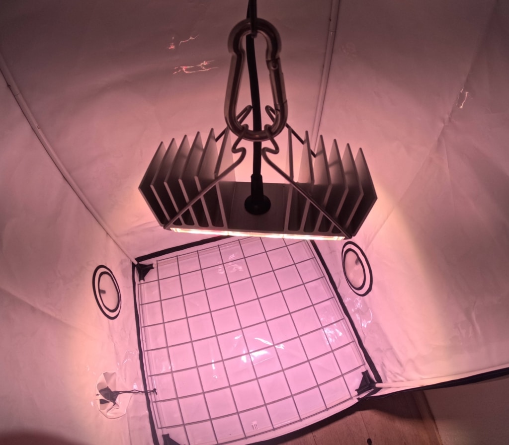 SANlight-Q1W-Growzelt SANlight Q1W im Growzelt